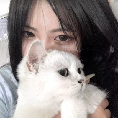 武之影魅手游公测版下载
