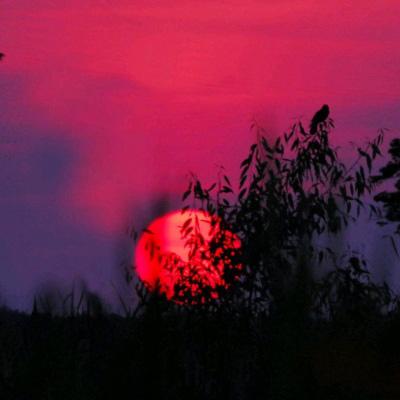 大奇幻时代腾讯版下载