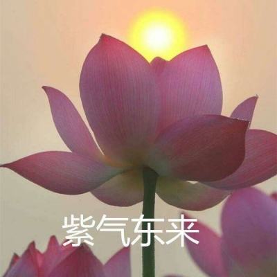 轨道赛车游戏下载