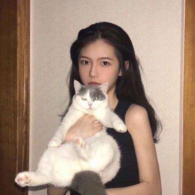 魔法与海盗手游下载